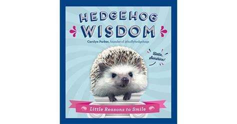 Download Hedgehog Wisdom Little Reasons To Smile By Carolyn  Parker