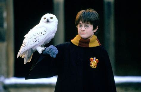 Hedwig’s Theme: el himno de Harry Potter que se …