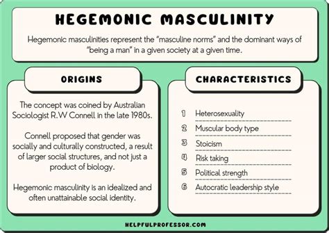 Hegemonic masculinity examples.  Meaning, pronunciation, picture, example sente...