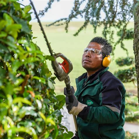 Hegi Garten AG sucht Gartenunterhalt-Leiter in Berikon, Aargau, …