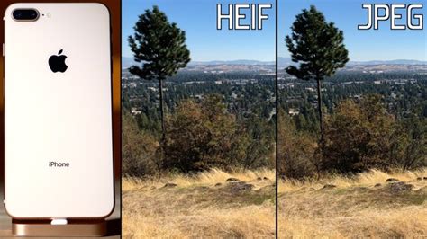 Heif vs jpeg samsung