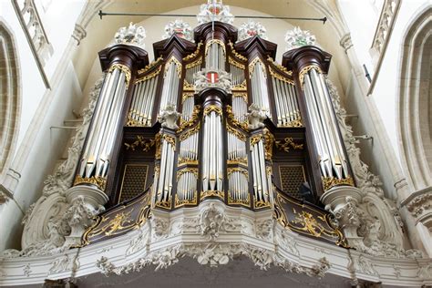 Heilig gebruik des orgels, vertoont in een leer reden over psalm cl, vers iii vi. - Aprilia pegaso 655 1995 factory service repair manual.