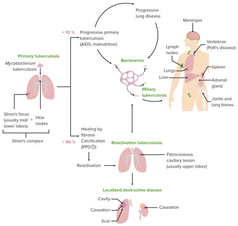 Heilung der tuberkulose und ihrer mischinfektionen. - Operating system concepts 9 solution manual.