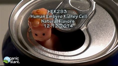 Hek 293 flavor. Jun 15, 2023 · Jun 15, 2023. ∙ Paid. 28. Share. A biotechnology company out of California called Senomyx specializes in the development of food flavorings using aborted embryonic cells for the production of food chemicals. Research by Senomyx into the use of “HEK293″ aborted human fetal cells as a flavor enhancer, was published in pubmed in 2002, after ... 