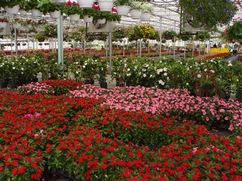 Helens Greenhouses And Flower Farm Map - Riverhead, United …