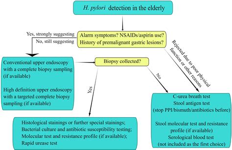 Helicobacter pylori infection and prevalence of high blood …