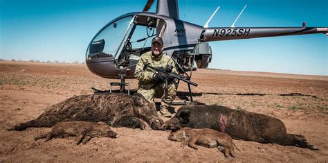 Helicopter Hog Hunting Texas Price