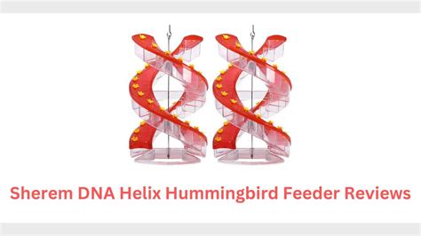 Helix DNA Review - Is It A Scam Or Legit? - April 2024 - Public …