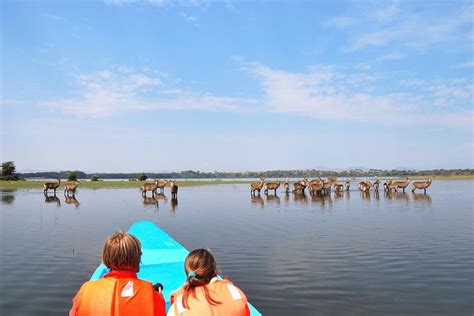 Hell’s Gate NP Private Full-Day Safari Tour from Nairobi 2024