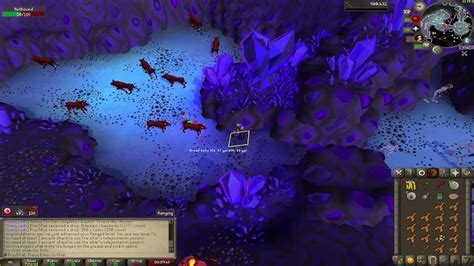 Hellhound osrs. Things To Know About Hellhound osrs. 