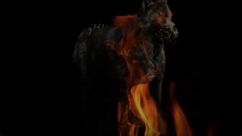 Hellhounds: The Ghostly, Ghastly Gatekeepers Of Hell