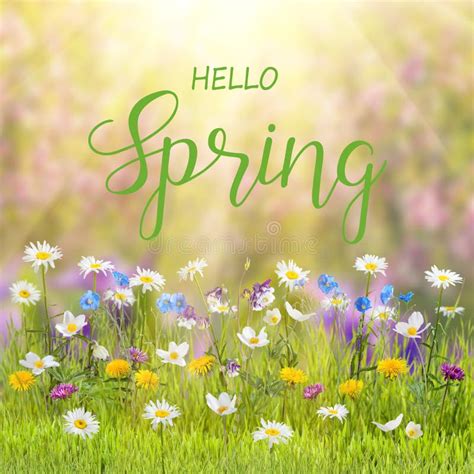 Hello Spring