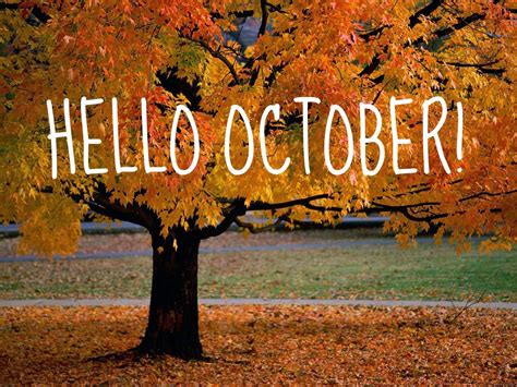 Hello october. Things To Know About Hello october. 