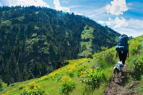 Hells Canyon Loop: Freezeout Saddle to Marks Cabin