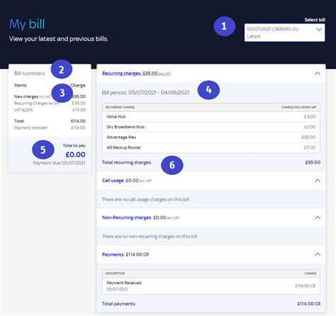 Help - Billing Sky Help Business Sky.com