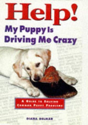 Help My Puppy Is Driving Me Crazy A Guide To Solving Common Puppy Problems