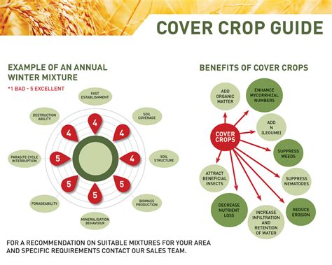 Help Us Plan for Cover Crops 2024