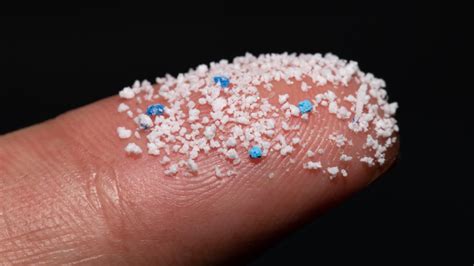 Help for a world drowning in microplastics - Science News Explores