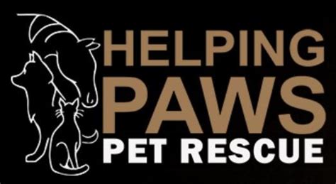 Helping Paws Pet Rescue Inc - 126 W Bayfield St, Washburn WI …