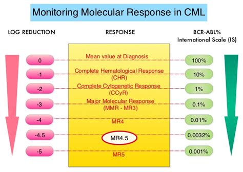 Hematological and molecular response evaluation of CML …