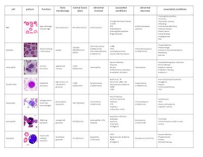 Hematology Fall 15 Online #1 Flashcards Quizlet