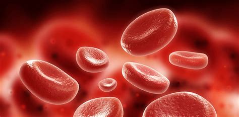 Hematoloji Emsey Hospital. 