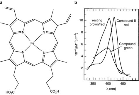 Heme Peroxidases SpringerLink