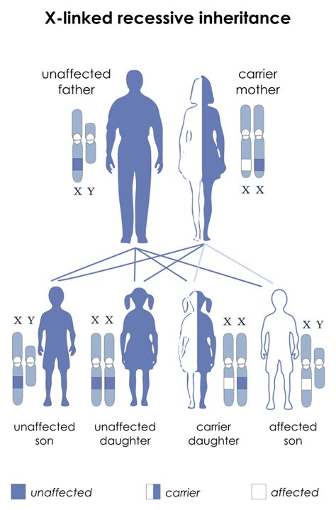 Hemofilia - Wikiwand