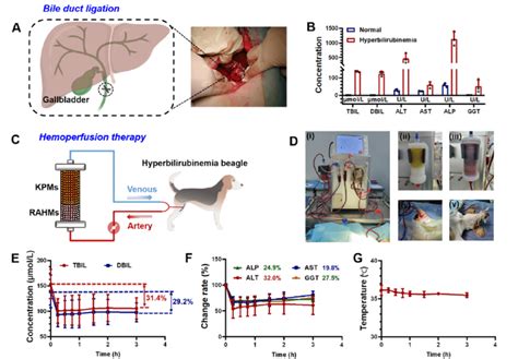 Hemoperfusion as an Effective Alternative Therapy for Star Fruit ...