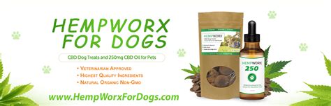 Hempworx 250 Cbd Oil For Dogs