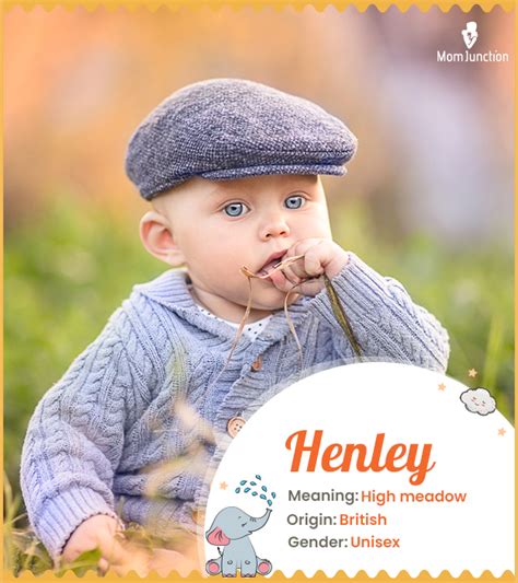 Henley Name Meaning, Origin, Pronunciation, and Ranking