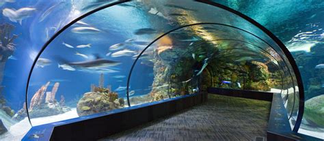 Henry doorly zoo and aquarium. Things To Know About Henry doorly zoo and aquarium. 