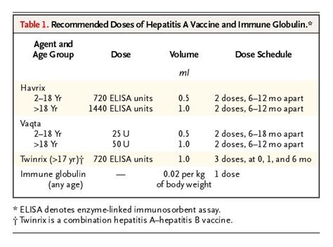 Hepatitis A vaccination in adults- temporary recommendations