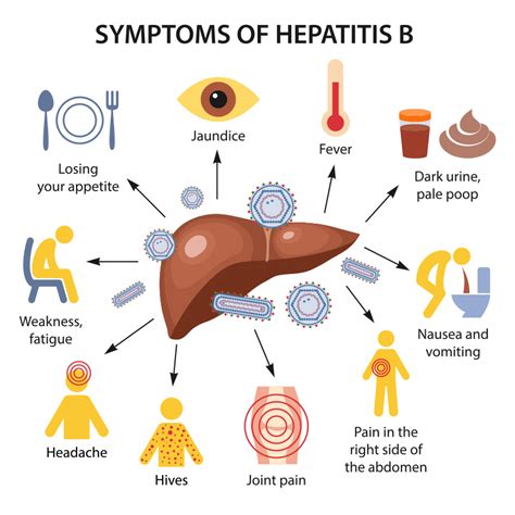 Hepatitis B, Acute & Perinatal BASIC EPIDEMIOLOGY