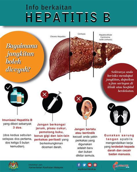 Hepatitis B – Malaysian Society of Infectious Diseases