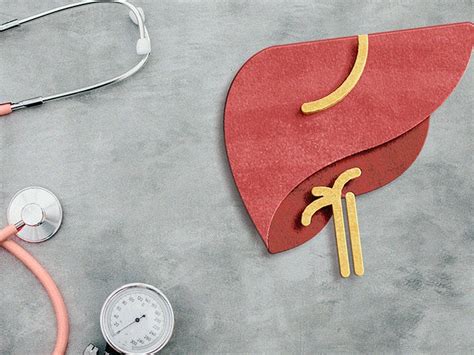 Hepatologists What they do and what to expect
