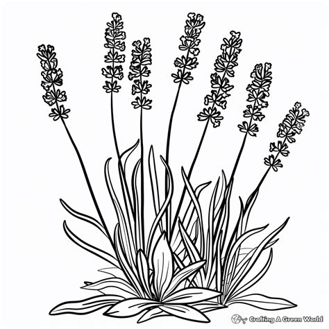 Tattoo Coloring