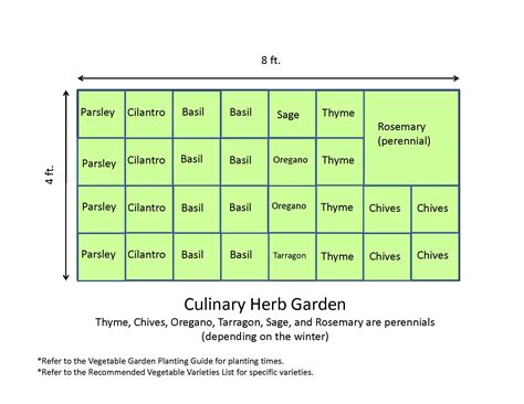 Herb Garden Layout Template