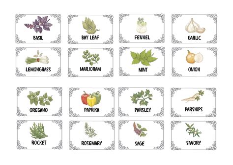 Herb Label Template Illustrations & Vectors - Dreamstime