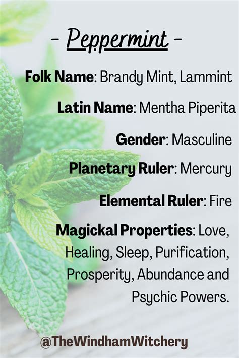 Herb Magickal and Medicinal Uses – Peppermint