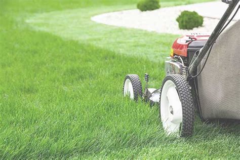 Herba - Tuinaannemer uit de regio Glabbeek