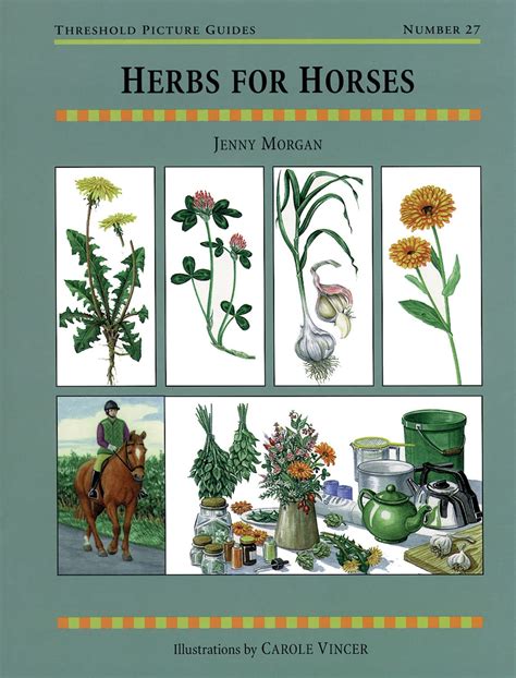 Herbs for horses threshold picture guides. - 2000 yamaha waverunner gp1200 760 service manual wave runner.