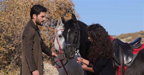 Hercai izle Dizimore.