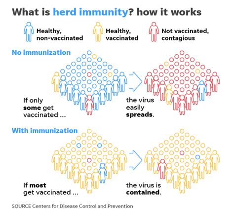 Herd Immunity: Understanding How Population-Level Protection Works