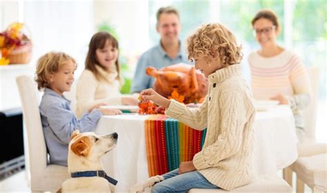 Here's what your dog can eat off your Thanksgiving plate