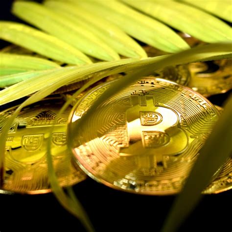 Here’s How to Tell if a Cryptocurrency Is Environmentally Friendly or Not
