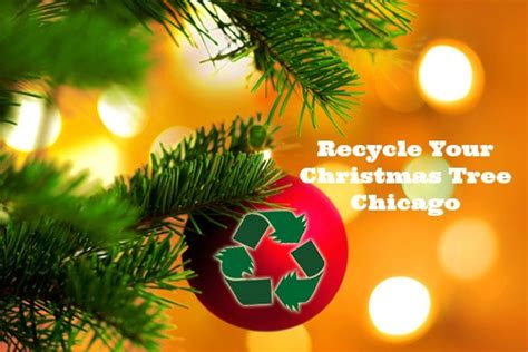 Here’s Where You Can Recycle Your Christmas Trees In Chicago …