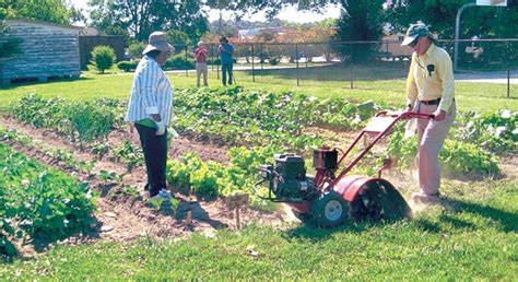 Here’s an update on the garden at the... - The Chowan …