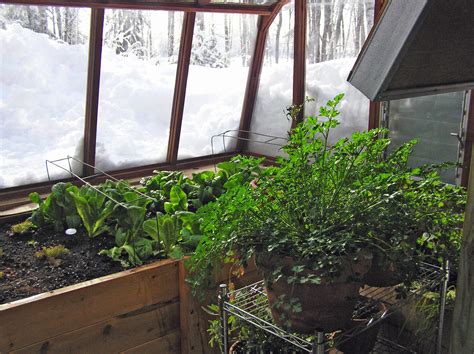 Here’s how to put your Colorado garden to bed for the winter