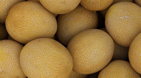 Here’s what you need to know about the deadly salmonella outbreak tied to cantaloupes